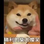 Qué se sentirá ser feo?