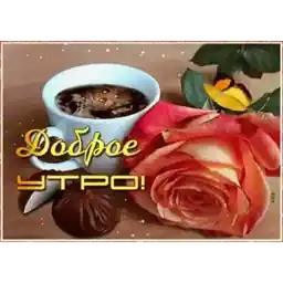 соль