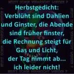 Blümchen für Dich, weil Du so lieb bist