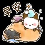 早安，今天又是美好的一天