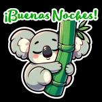 buenas noches 