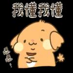 貴賓狗妞妞-好禮貌好親切