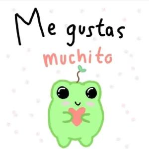 6j2GOr