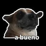 Pack 31