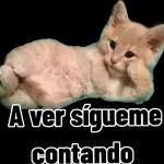 Te adoro