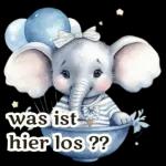 Der Elefant