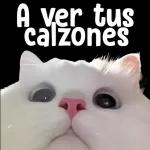 pendejadas