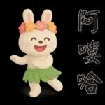 可愛白兔 夏日常實用問候