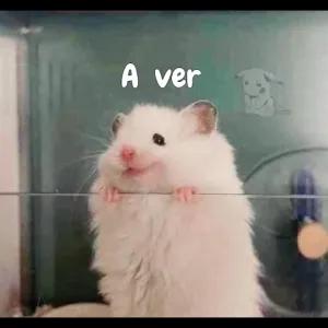 A ver - getsticker.com