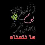 محمود أبو ملك