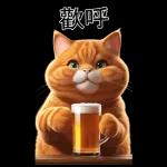 可愛的橘色肥貓!