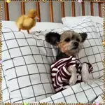 роллллллоог