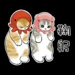 鯊魚貓咪 2
