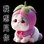 Mangosteen Meow