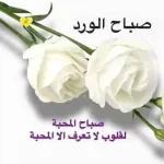 ملصقات جديدة