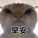 讚！