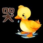 黃毛鴨