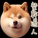 圓柴柴4：柴腹自由 薯條加大