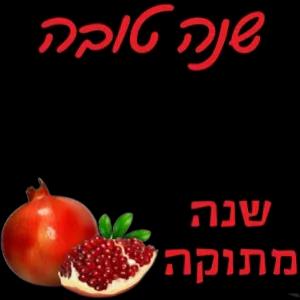 ליה סוקה שנת אושר שנת שפע שנת שגשוג שנה מתוקה - getsticker.com
