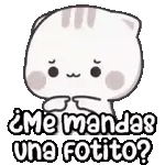 niño karate