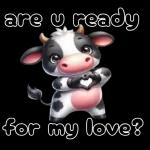 Bạn có thích hoa anh đào không?