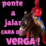 Me Per™ Ahora: MINOS AR Donas ON EN UN A PAN DULCE