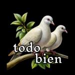 Vida religiosa cotidiana