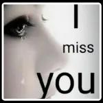 Geniet Jou Dag Reënboog Vlindertjies