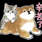 柴柴與貓咪 pack2