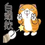 白爛貓51☆腦有動☆