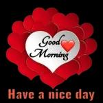 Good
Morning
Have a nice day