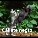 Te amo mucho mi amor  🥰 