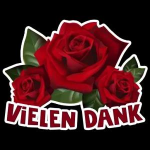 Qkgo3m