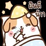 น่ารักที่สุด😊