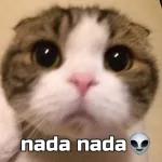 nada nada
