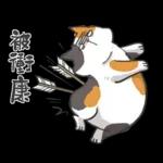 肥貓躺躺(上班鳥事)