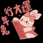 兔年行大運，年年有餘