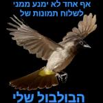 שישי