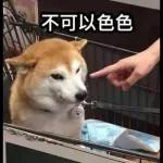 Qué se sentirá ser feo?