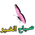 01.19الملصقات الموصى بها