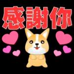 可愛柯基- 實用日常用語