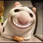 APASIH NI
ВОСАН