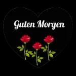 Kommt gut durch den Tag🌹