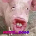 varios 3
