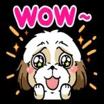 豆卡頻道x性平協會 陪你說出心裡話