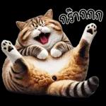 แมวถังแกสอ้วนตุ้บ 03