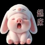 Piggy Rabbit so Cute