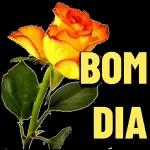 Bom dia