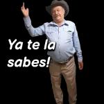 QUE PASO MI SHULA