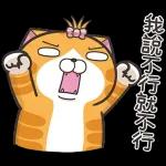 白爛貓11☆超級萌☆